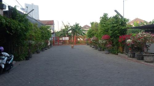 Sei Pinang Maison | Taman Paradise Homestay