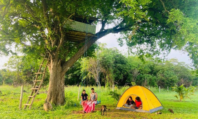 Maho Autre | Tamarind Tree Chamber