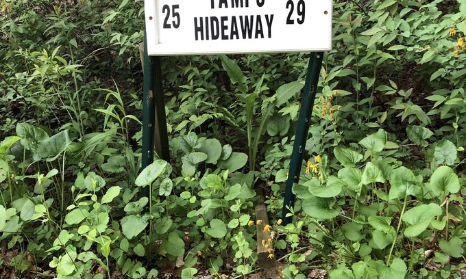 Weaverville Cottage | Tami's Hideaway - Nature and Comfort at this Private Asheville Getaway