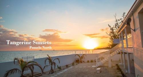 Adelaide Maison | Tangerine Sunsets Pomelo North