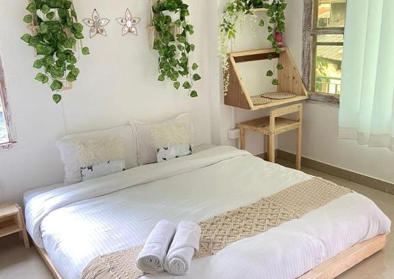 Dharamshala Maison | Taroh Rustic Roots & Wilderness