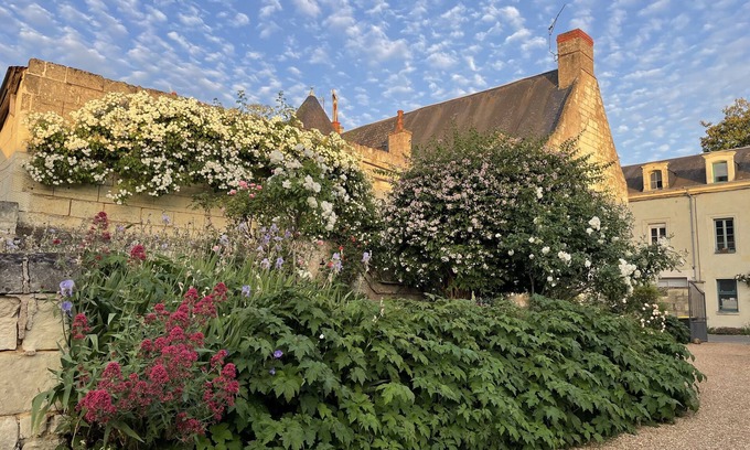 Fontevraud-l'Abbaye Cottage | Gîte la Samsonelle - havre de paix au coeur de Fontevraud l'Abbaye