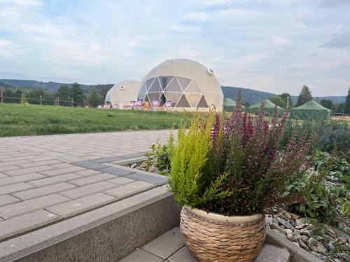 Okrzeszyn Autre | Tatra Glamp Okrzeszyn - Siec noclegowa Tatra Glamp
