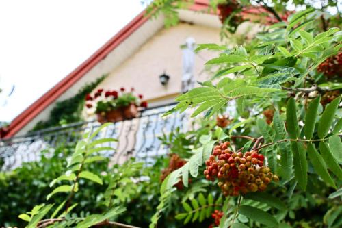 Poddabie Maison | Tawerna Murena