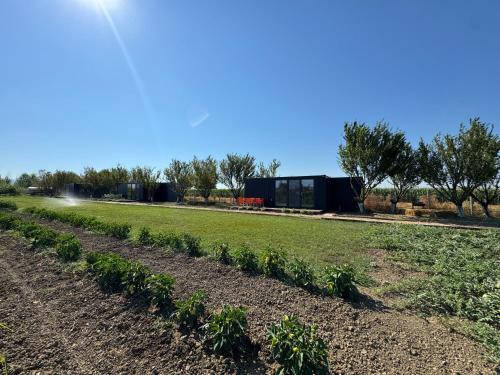 Rade Maison | Te Vreshti - Container Home