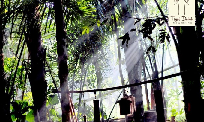 Taro Location De VR | Tegal Dukuh Camp