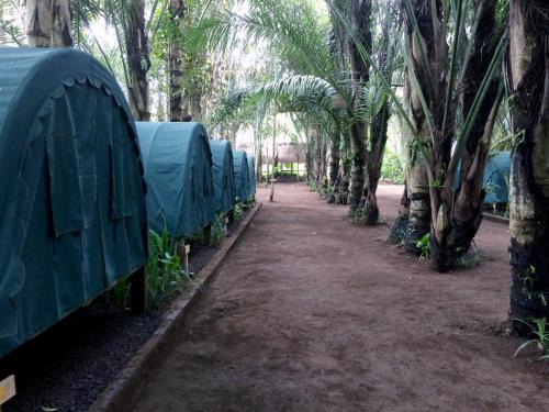 Taro Autre | Tegal Dukuh Camp