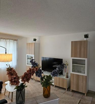 Tegerfelden Appartement | Tegerfelden Weinregion