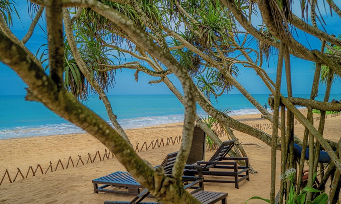 Induruwa Hôtel | Temple Tree Resort & Spa