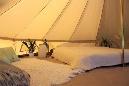 Rakvere Autre | Tempus Te Glamping Lääne - Virumaal