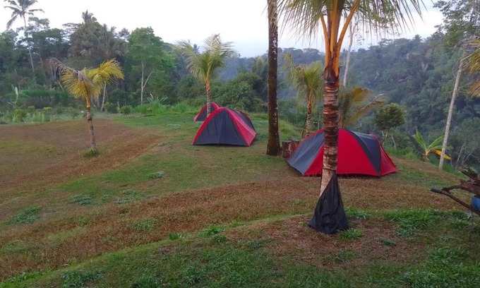 Taro Autre | Tent gastronomy