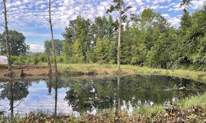Little Rock Location De VR | Tentrr Signature Site - The Great Southern Jordan Ranch & Family Farms