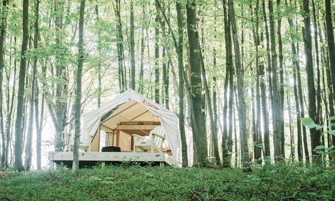 Waymart Location De VR | Tentrr - Hollow Tree Camp