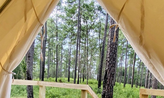 Talisheek Location De VR | Tentrr State Park Site - Louisiana Bogue Chitto State Park - Gorge Trail N - Sin