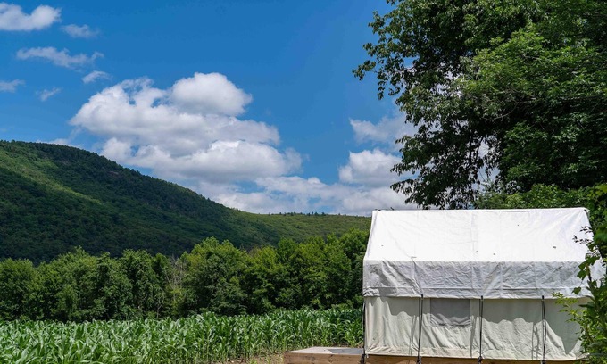 Copake Falls Location De VR | Tentrr State Park Site - NY Taconic State Park: High Valley Rd Site C