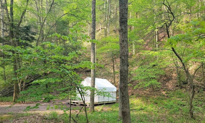 Swanton Location De VR | Tentrr State Park Site - Big Run State Park - Site B