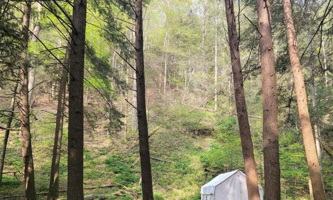 Swanton Location De VR | Tentrr State Park Site - Big Run State Park - Site A