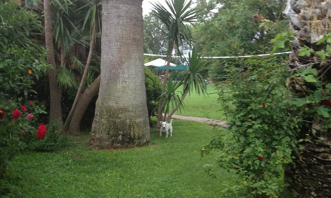 Ladispoli Autre | Tenuta Borgo Caere - un'oasi a 30 minuti da Roma