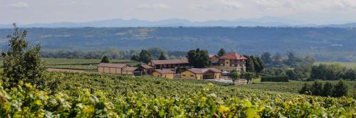 Rocca Grimalda Maison | Tenuta Montebello