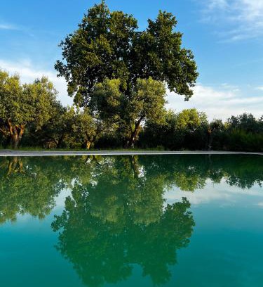 Sessa Aurunca Maison | Tenuta Paino
