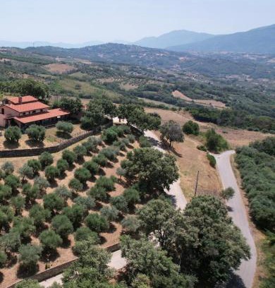 Altavilla Silentina Lit Et Petit-Déjeuner | Tenuta Raimo