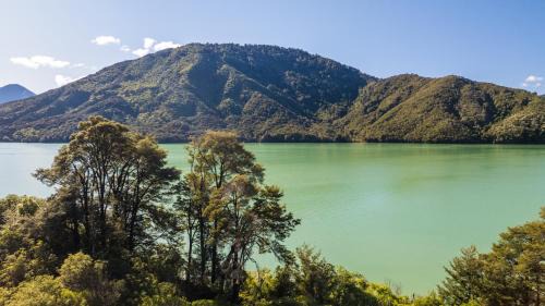 Havelock Maison | Tepuia Cottage - Havelock Holiday Home