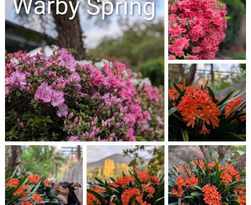 Warburton Maison | Terraces of Warburton