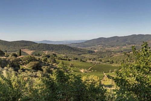 Panzano in Chianti Appartement | Terrazza a Campana