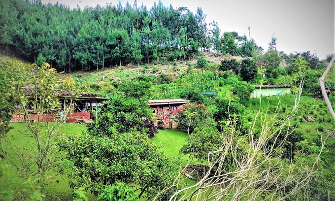 Filandia Cabine | Tesorito House en las Montañas del Quindío