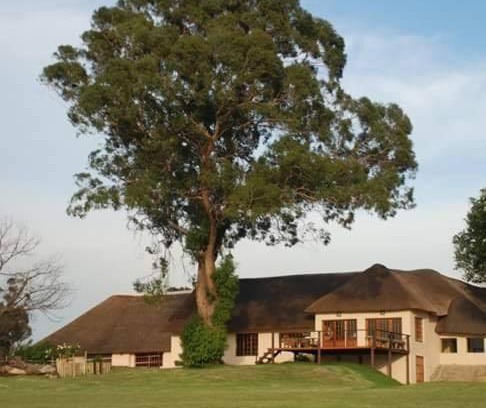 Govan Mbeki Hôtel | ThakhuBrunfelsia