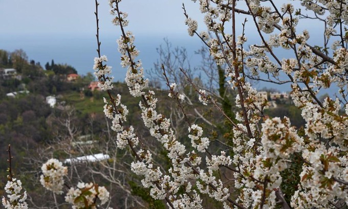 Tsagarada Appartement | Thalassoxyla