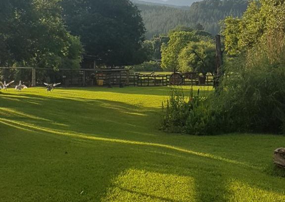 Sabie Appartement | Thandamanzi Self Catering