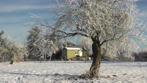 Broughton Hackett Maison | the abberton shepherds hut