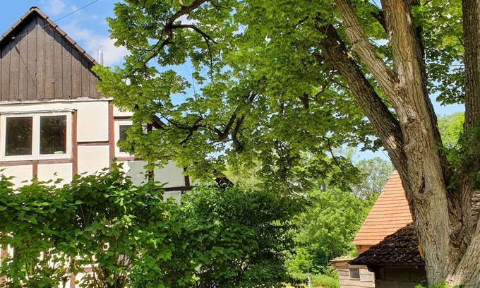 Extertal Autre | The "Alte Försterei "Feel-good place in nature, secluded location with sauna barrel and fireplace