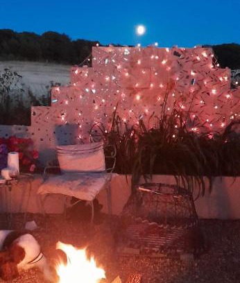 Sidestrand Maison | The Annex Rocket cottage