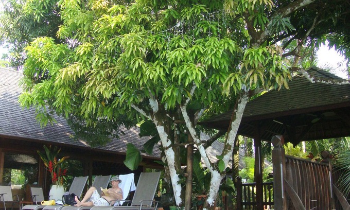 Manuel Antonio Maison | La Maison Bali à la plage, la meilleure maison et le meilleur emplacement de loin!