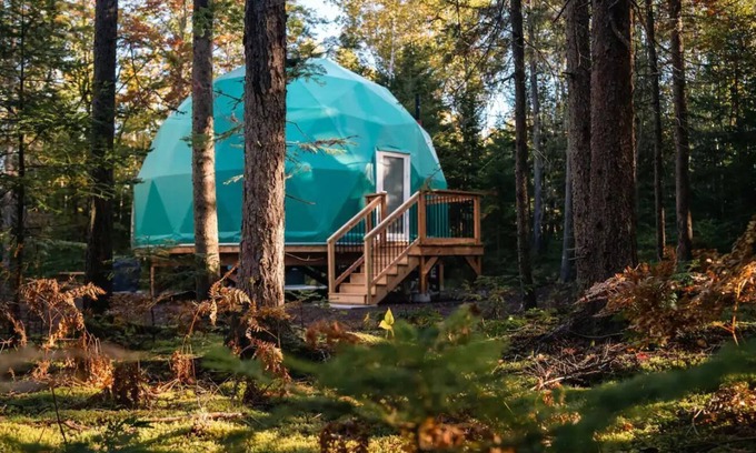 Queens County Cabine | The Balsam Fir