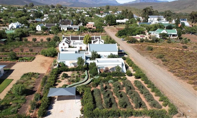 McGregor Maison | The Bean Tree