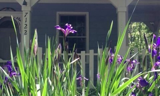 Trenton Cottage | The Blue Cottage Rental - l'escapade parfaite en montagne