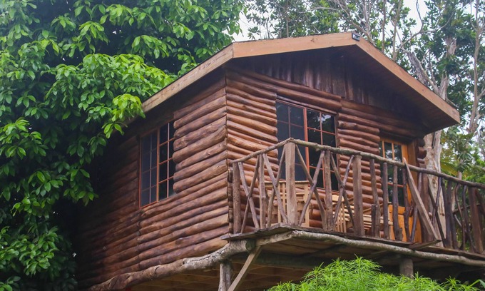 St. Ann's Bay Maison | The Blue Mahoe Treehouse