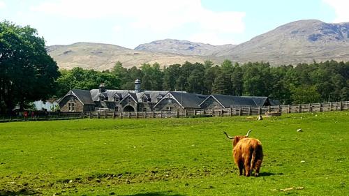 Hogwarts Maison | The Bothy, Gallin, Glenlyon, Perthshire