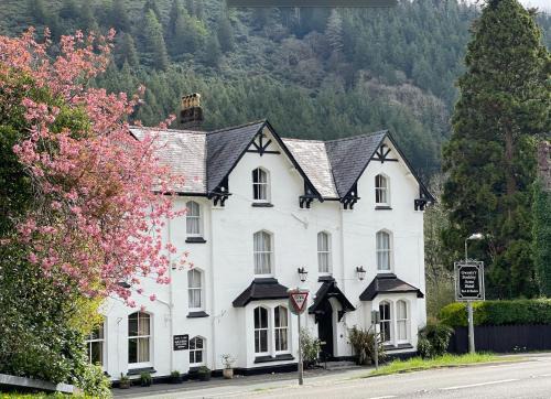 Dinas Mawddwy Hôtel | The Buckley Arms