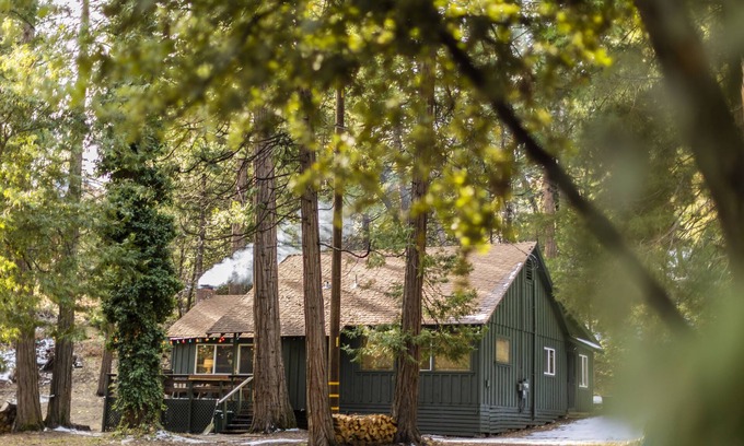 Camp Nelson Cabine | The Bunkhouse 1960's Camp Vibe + Timeless Wet Bar