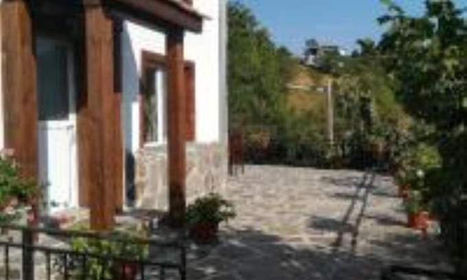 Smolyan Maison | The Cabbage Patch