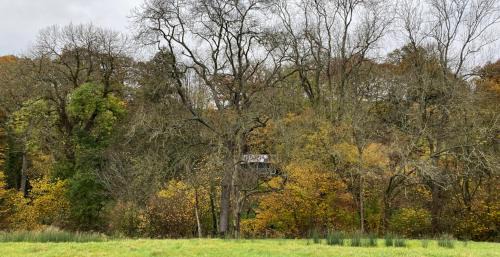 Rock Autre | The cabin at Abberley Glamping