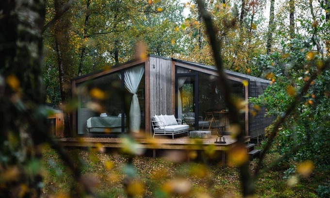 Wilsum Cabine | The Cabin on the Hill is situated among the birch trees on a hill with unobstructed views on all sides.