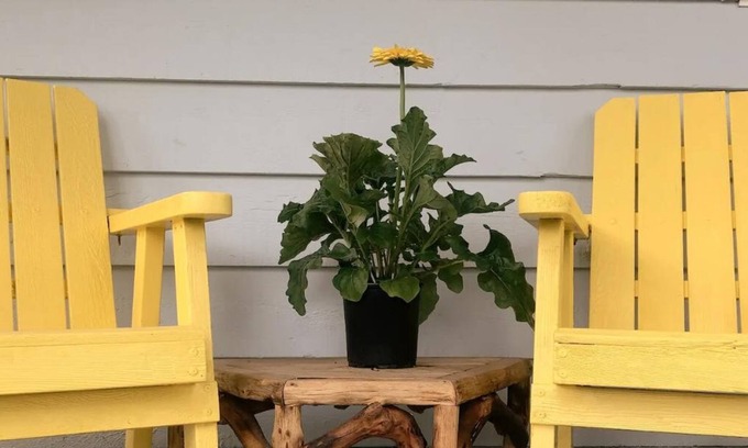 Youbou Maison | The Cabin with the Yellow Door on Beautiful Lake Cowichan