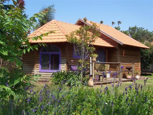 Liman Cabine | The calm west
