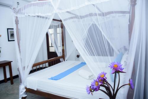 Thalaramba Maison | The Ceylon Lazy Lagoon Mirissa