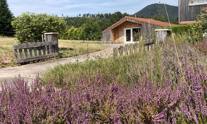 Saulcy-sur-Meurthe Chalet De Ski | Le chalet dans la Nature